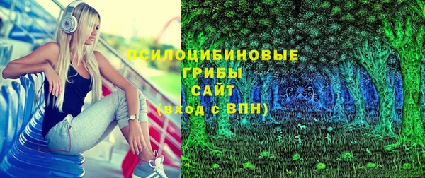 бошки Арсеньев