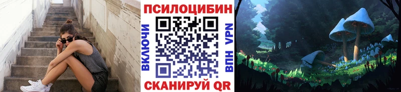 ОМГ ОМГ зеркало Козельск Галлюциногенные грибы Psilocybine cubensis