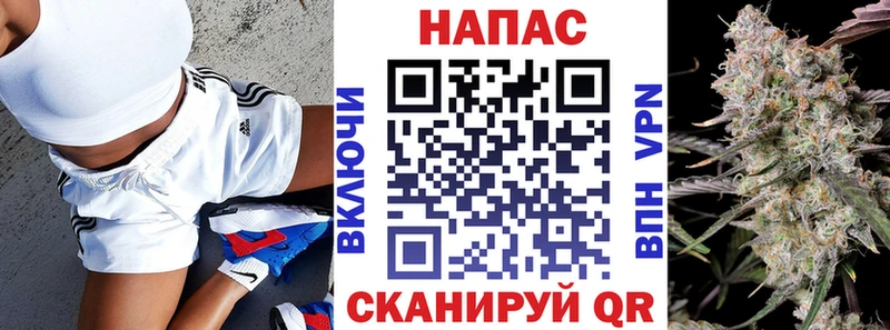 наркотики Козельск Канабис SATIVA & INDICA